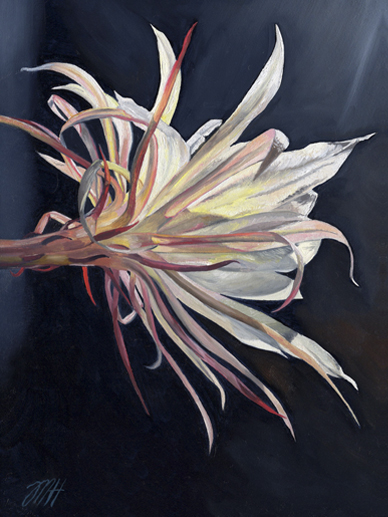 By the light of the silvery moon