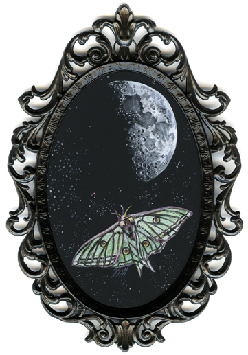 Voyage of the lunar moth
